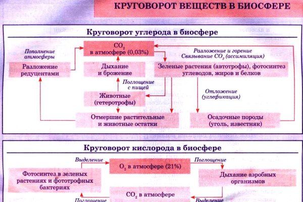 Не могу зайти на кракен