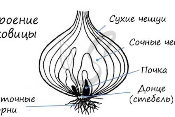 Официальный сайт даркнет