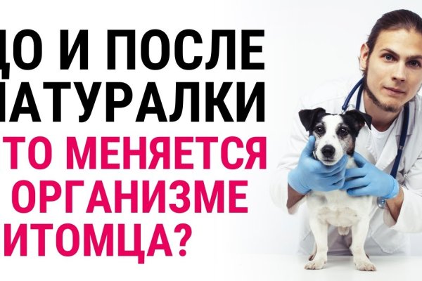 Кракен даркнет маркет