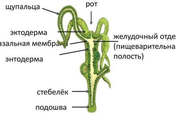 Кракен без впн